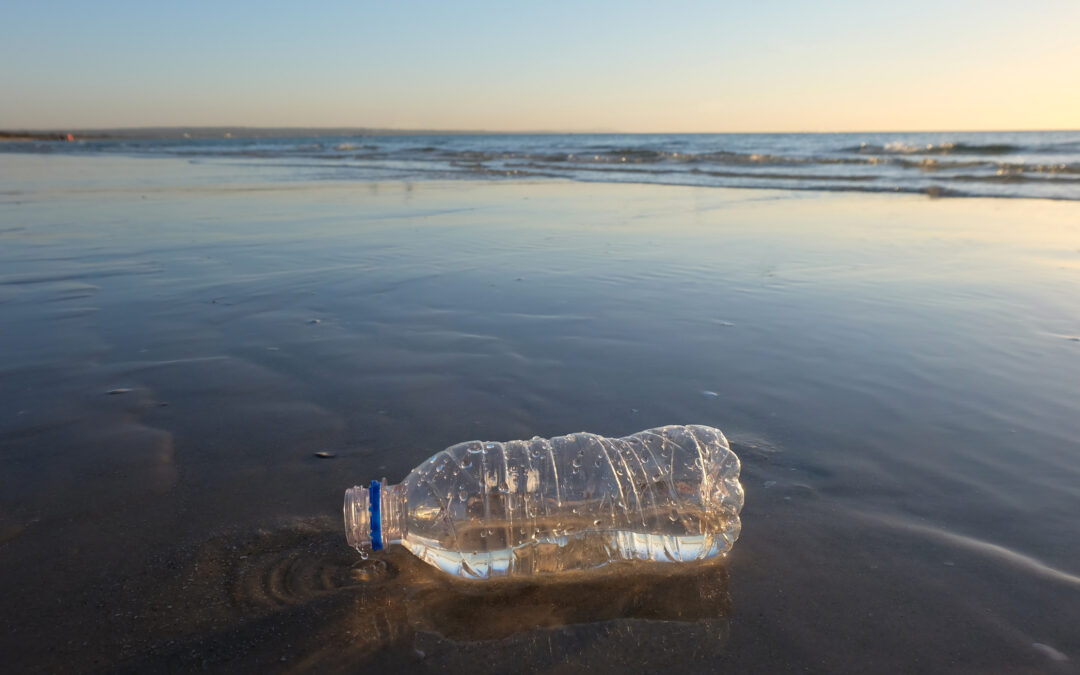 We Have Seen the Enemy, and it is Plastic