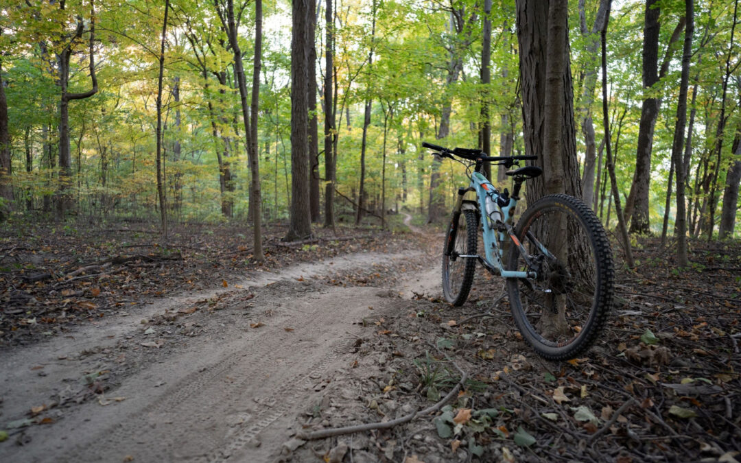 Trail of Destruction