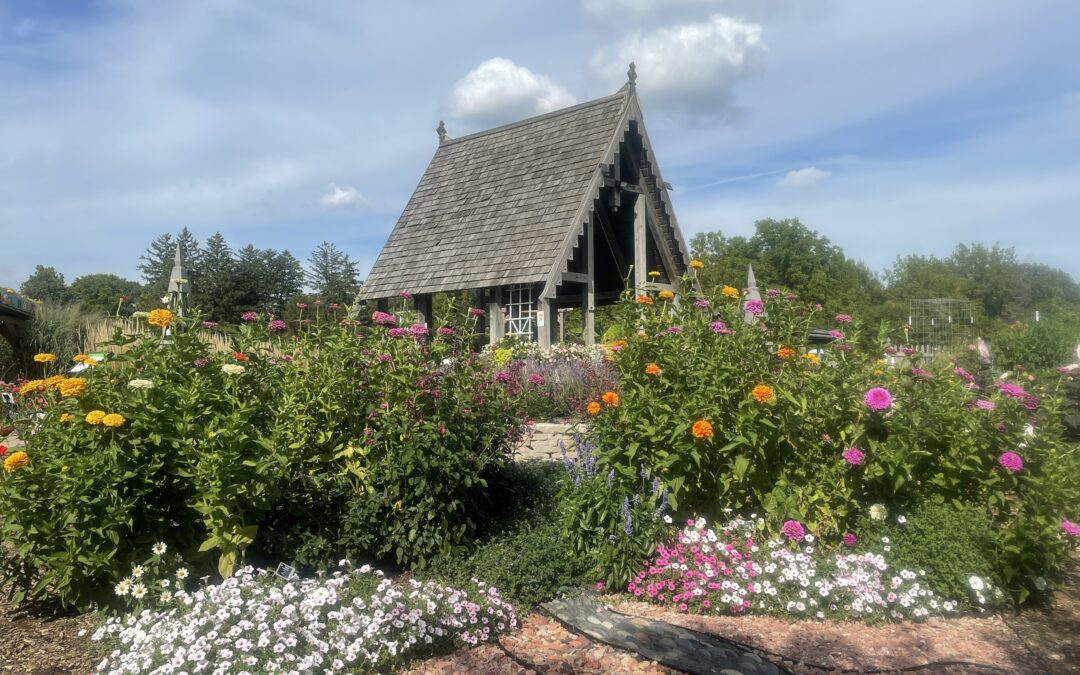 Nature is the Best School