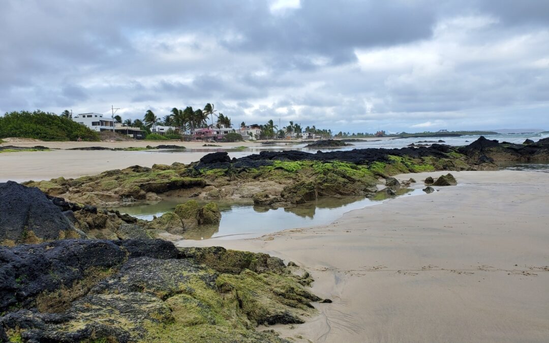 Return to the Galápagos