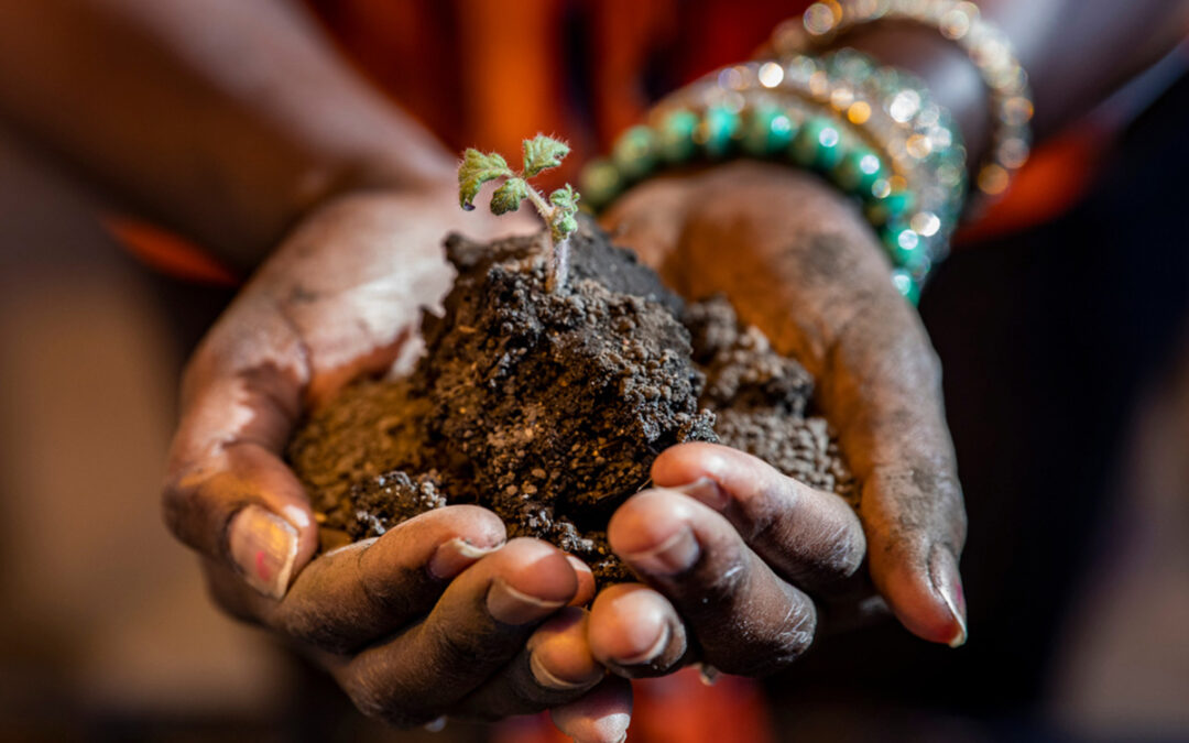 Let the Sun Shine In