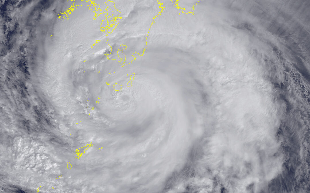 Not Waving, Drowning