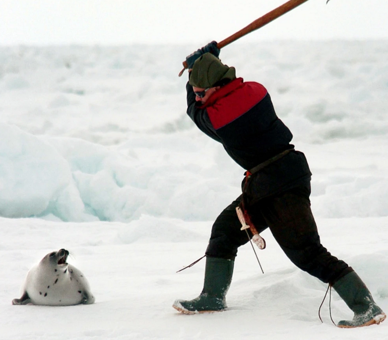 Slaughter and Survival on the Ice