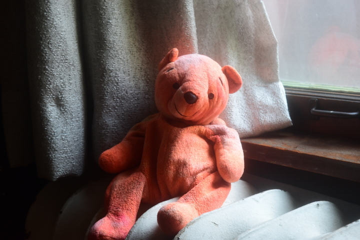The Strange Tale of Orange Bear