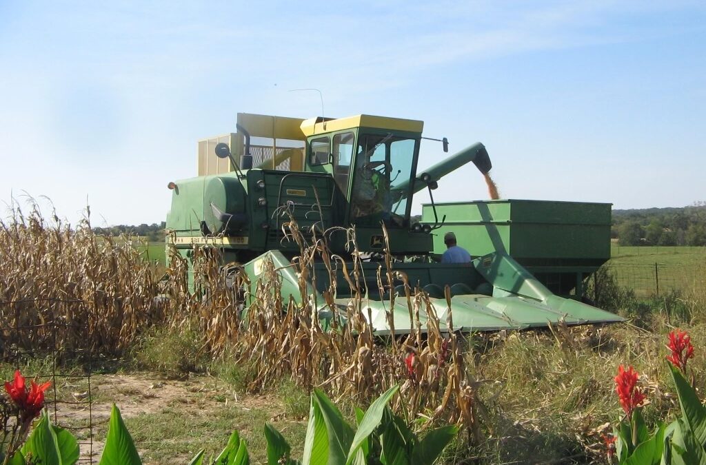 The Good Farmer’s Dilemma