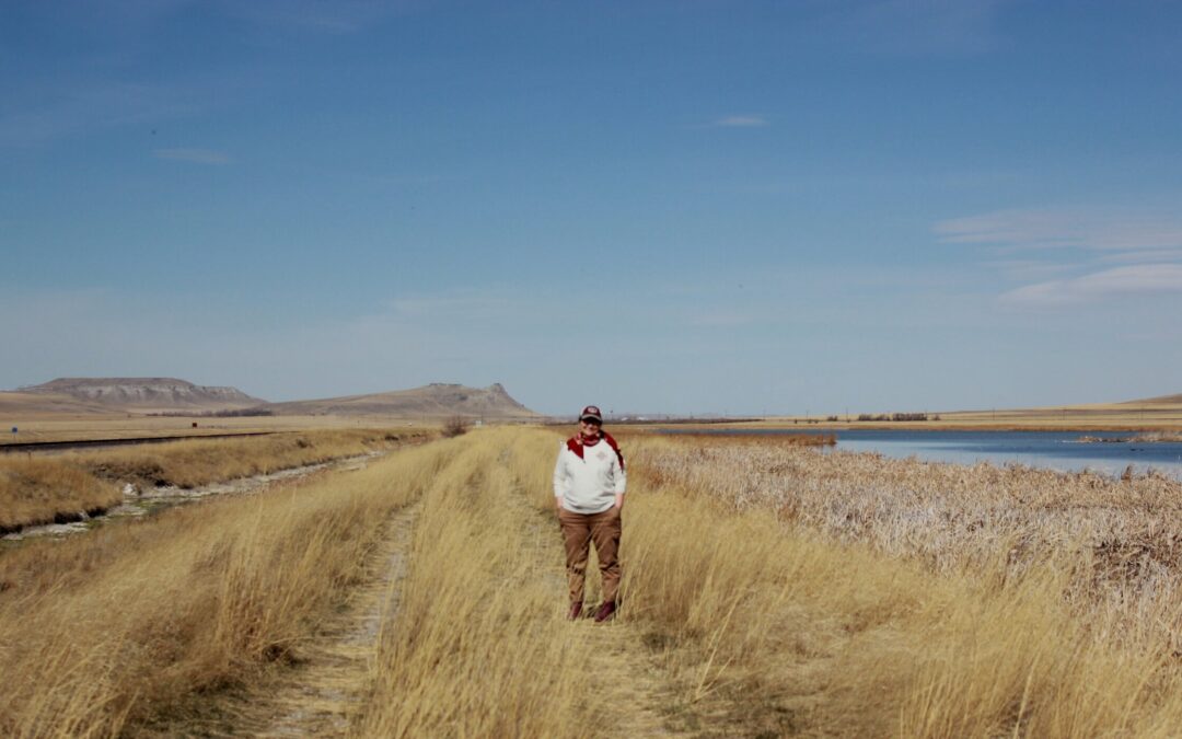 Learning with the Land