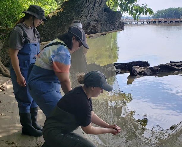 Science for the People, by the People